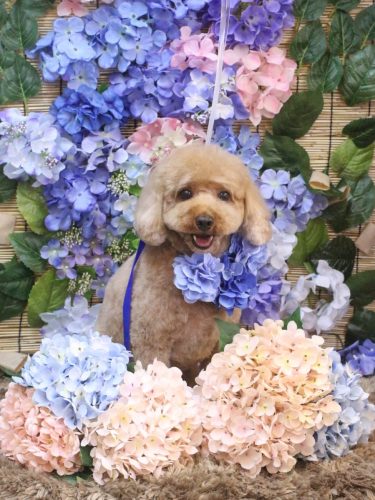 20250628コアくん